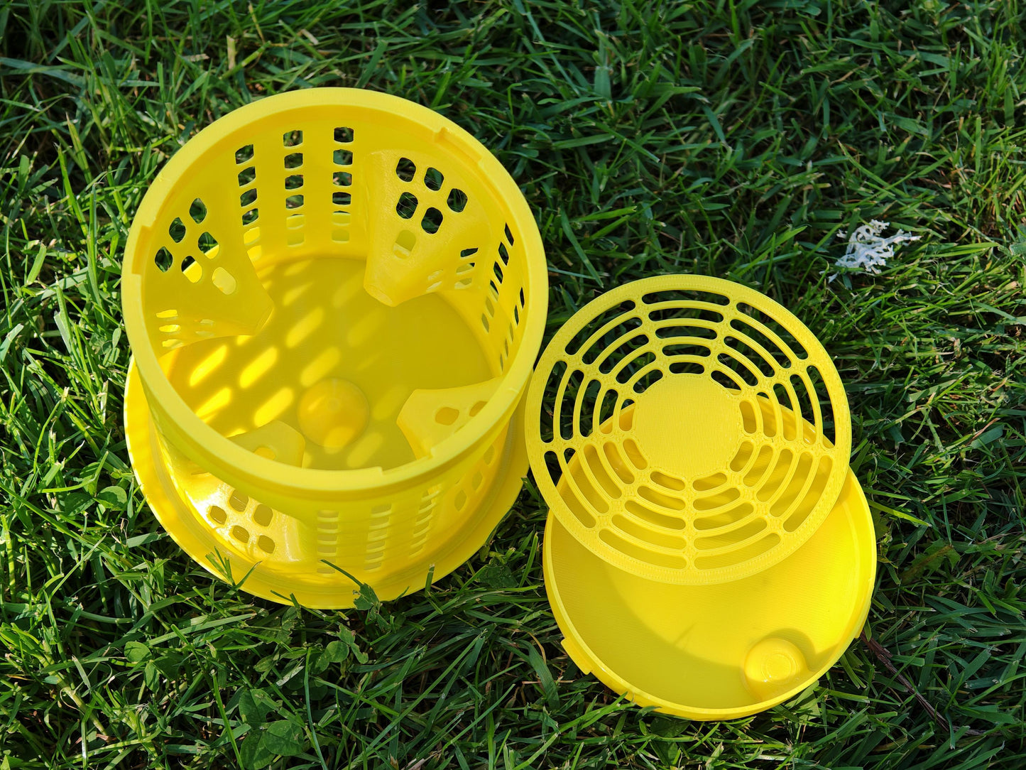 Pièges à frelon asiatique LANTERNE