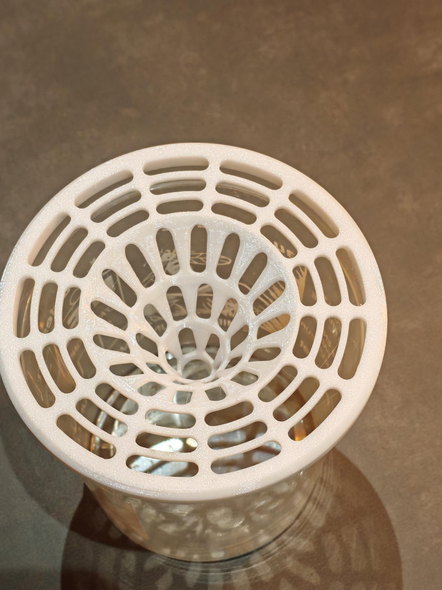 Lot de 5 Pièges frelon asiatique pour pot de miel