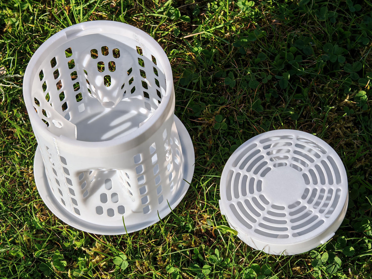 Pièges à frelon asiatique LANTERNE