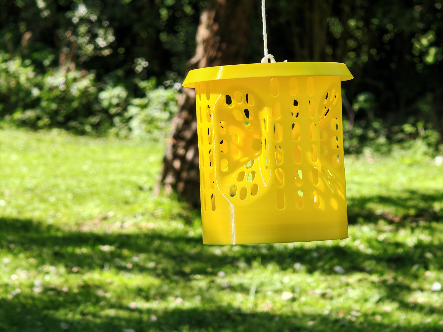 Pièges à frelon asiatique LANTERNE