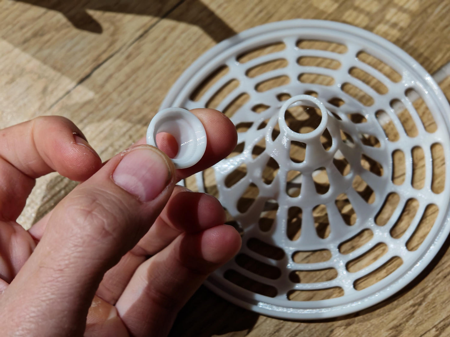 Piège à frelon asiatique reine et ouvrier