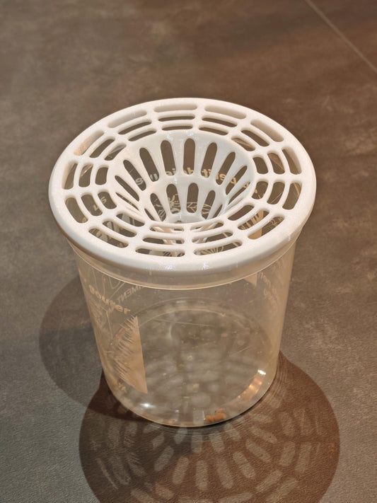 Lot de 5 Pièges frelon asiatique pour pot de miel