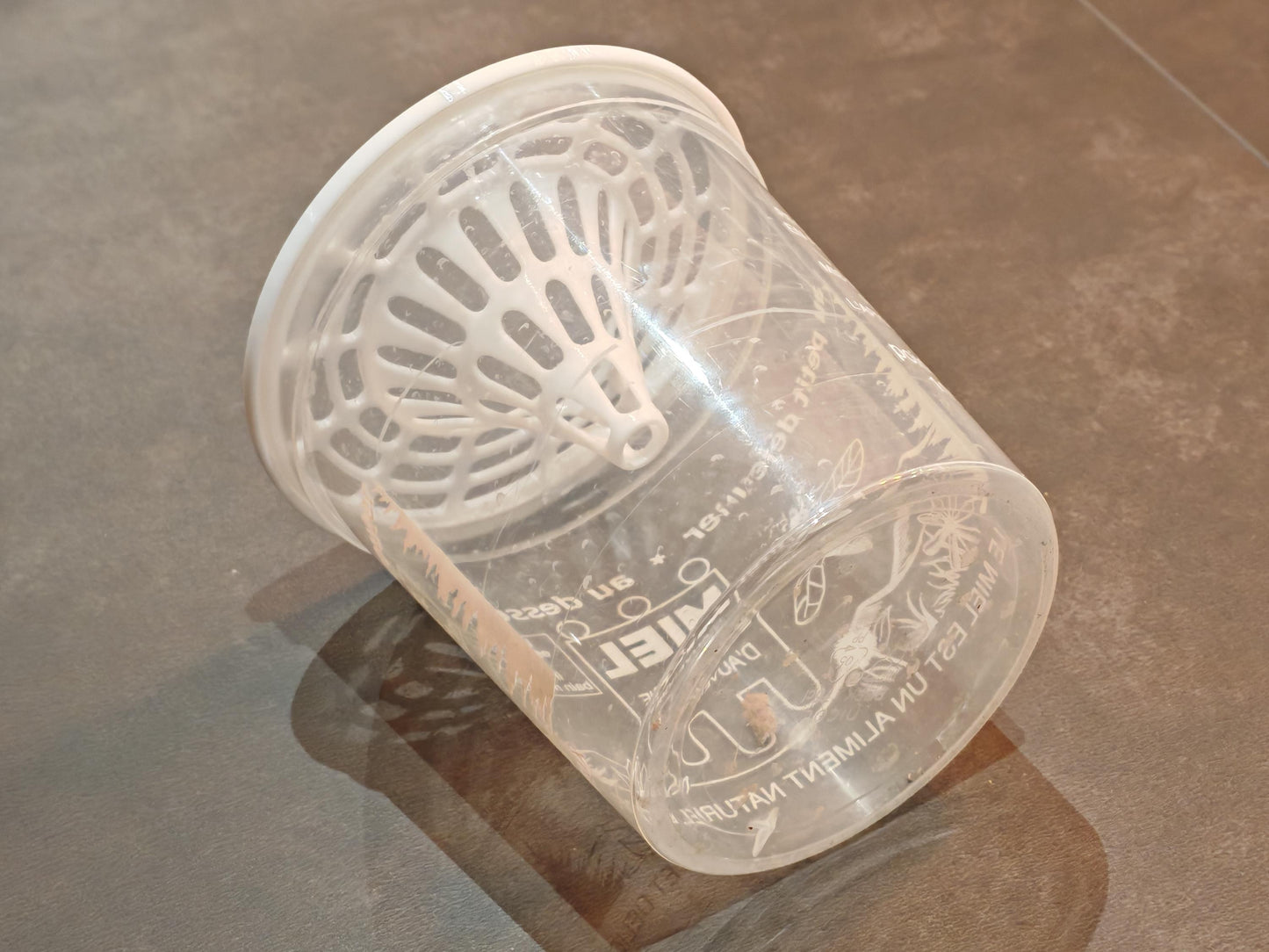 Lot de 5 Pièges frelon asiatique pour pot de miel