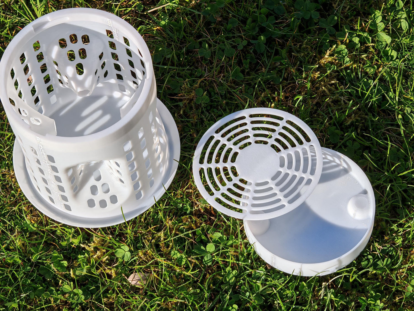 Pièges à frelon asiatique LANTERNE