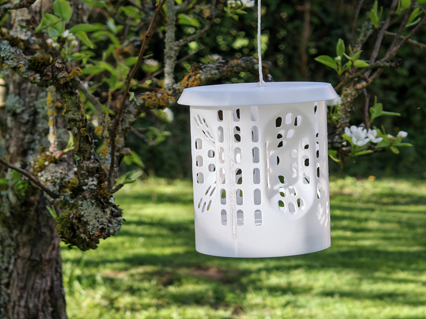 Pièges à frelon asiatique LANTERNE