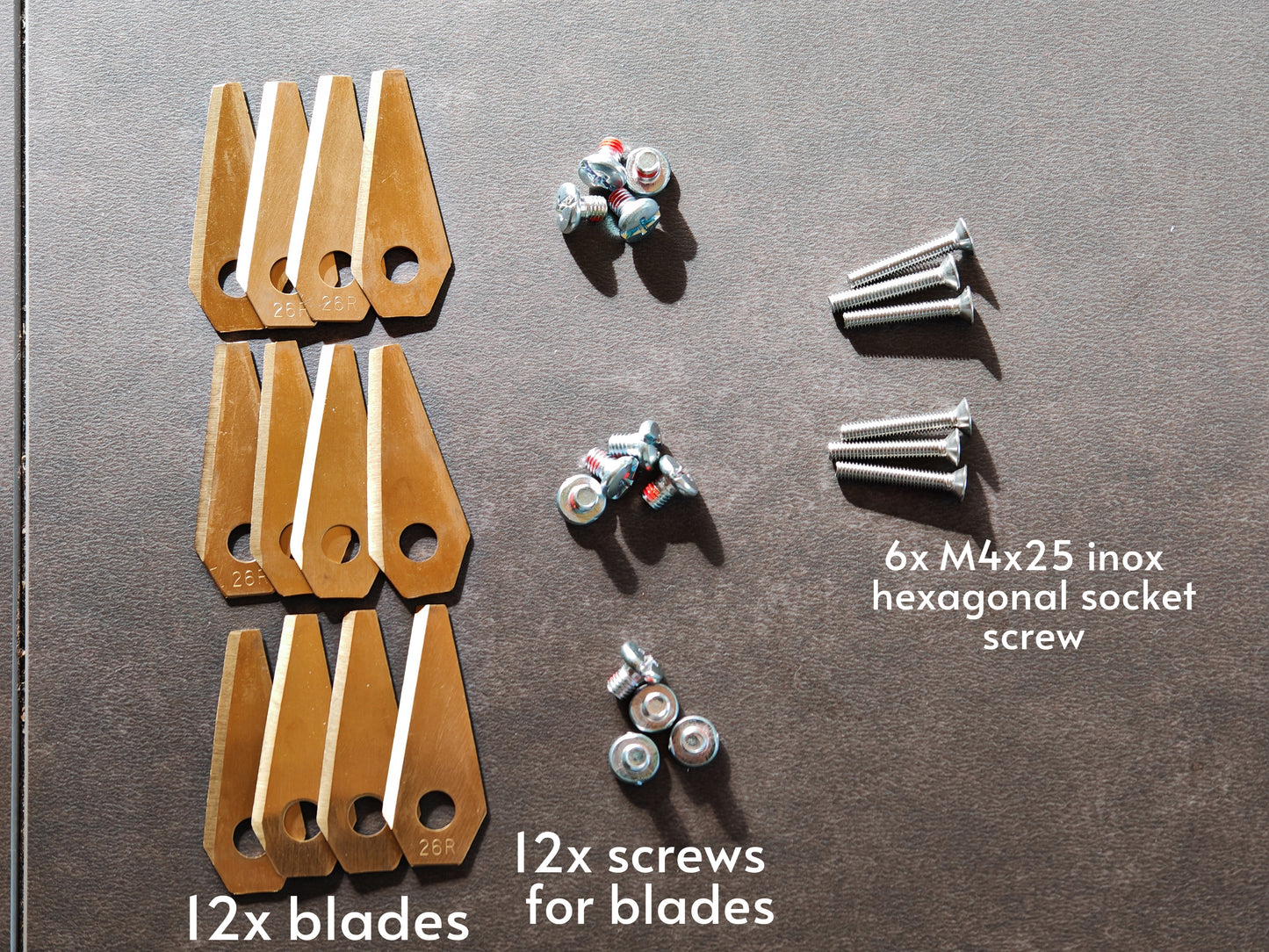 Ensemble 12 lames + visserie type Bosch Indego